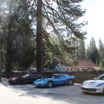 IMG_7506 (May 28, 2024)